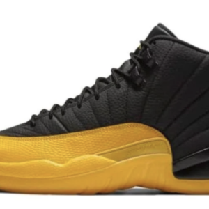 Air Jordan 12 Retro